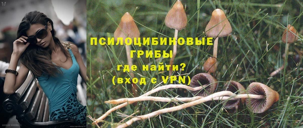 мяу мяу мука Балабаново