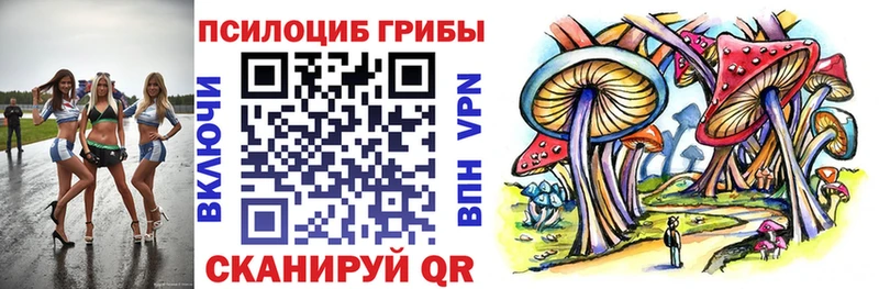 купить наркотики цена  Лесозаводск  Псилоцибиновые грибы прущие грибы 